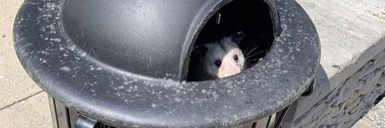 lemmaade's profile banner image