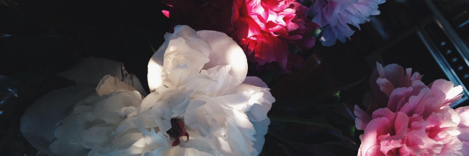 Juliajuliafr's profile banner image