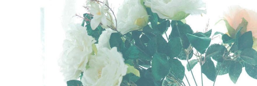 jsclttt's profile banner image