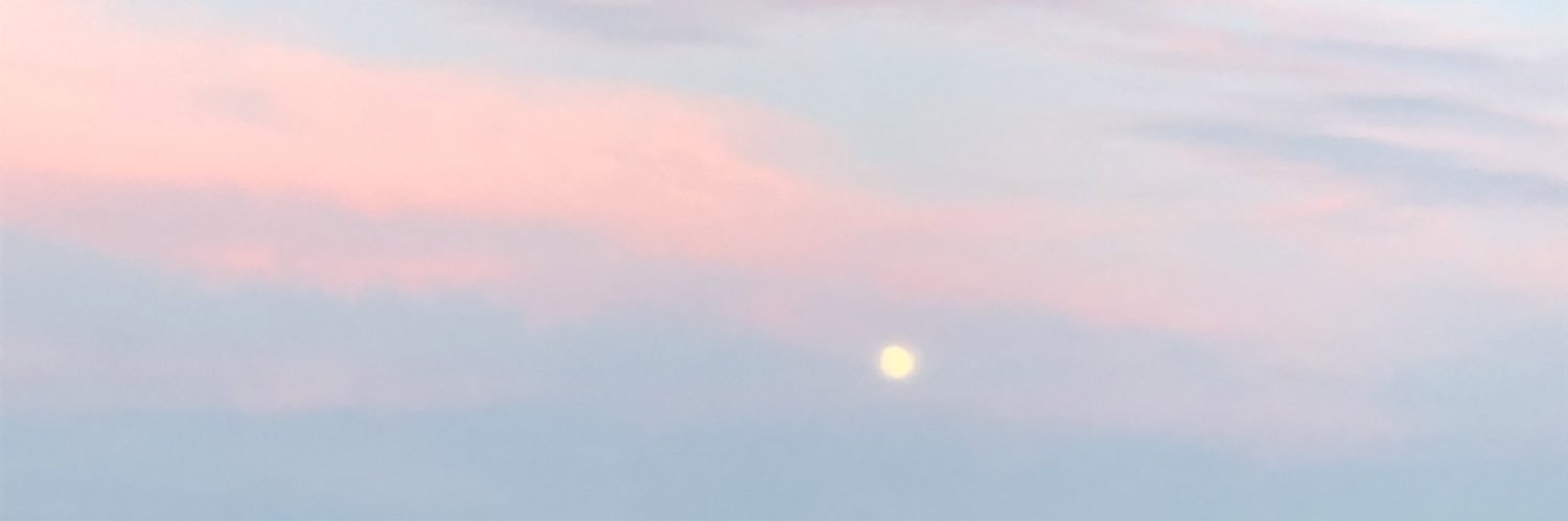 🩵Hope🤎's banner