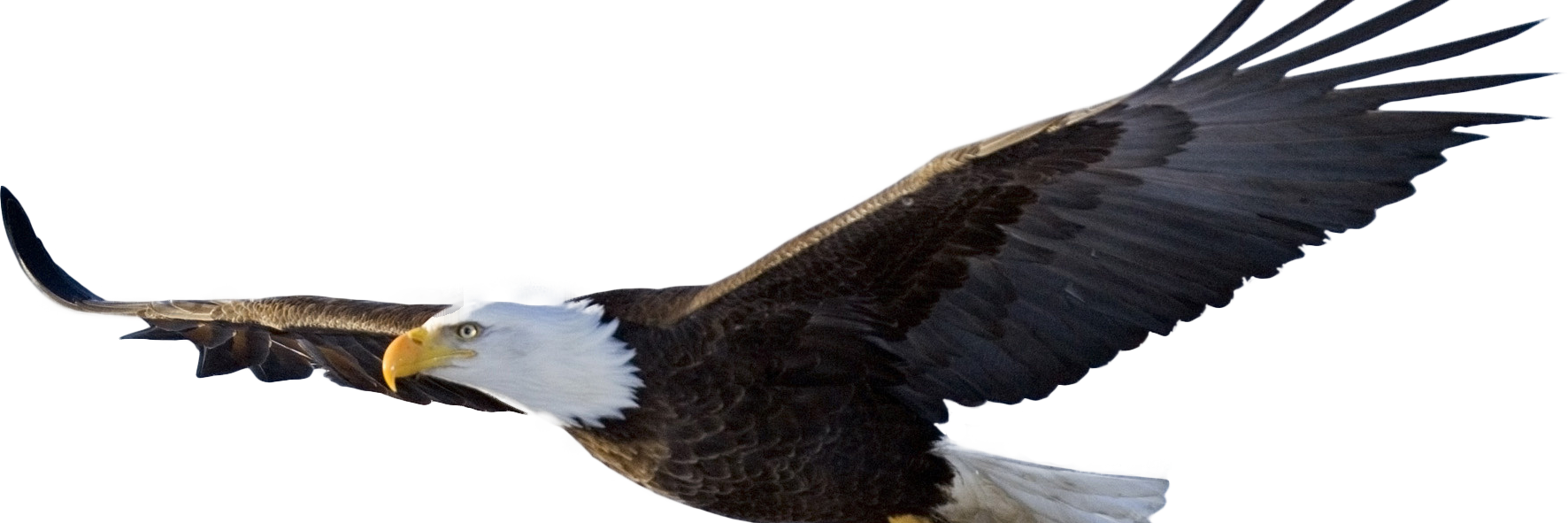 Donald Dunlap banner