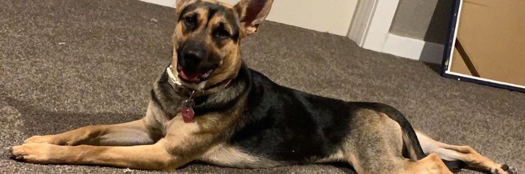 TannerSchrag10's profile banner image