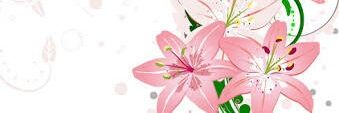 桃とモモとももの日 banner