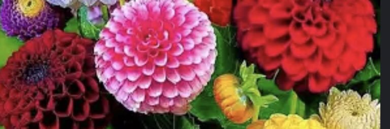 ScottDstwmaac's profile banner image