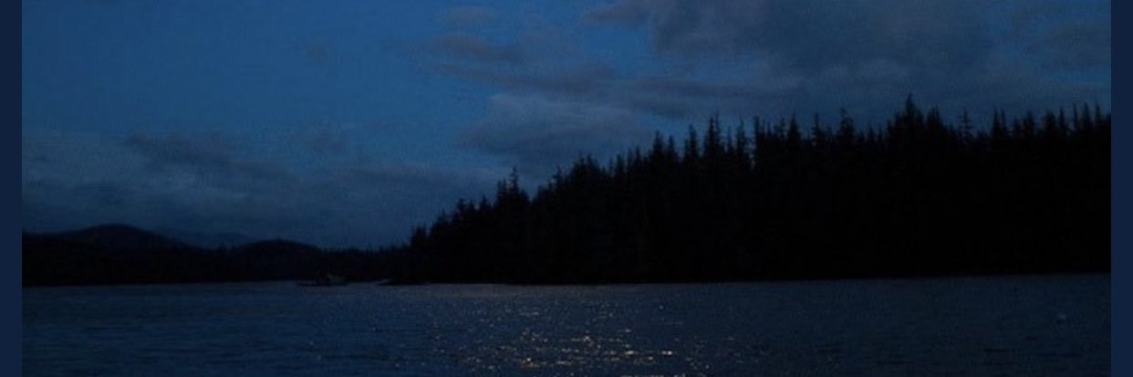 zain1af's profile banner image