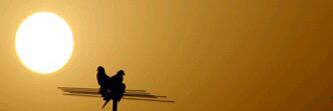 Ma_3aad's profile banner image