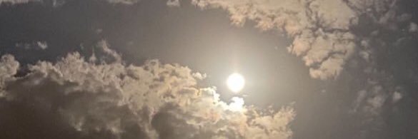 _n388's profile banner image