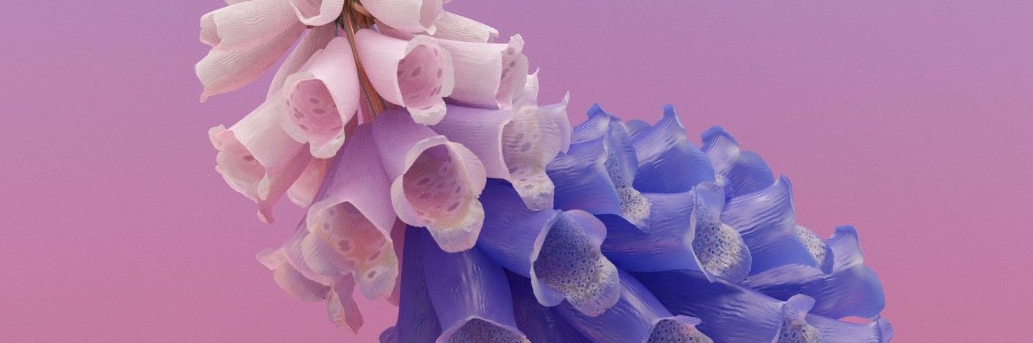 Cam_Brett96's profile banner image