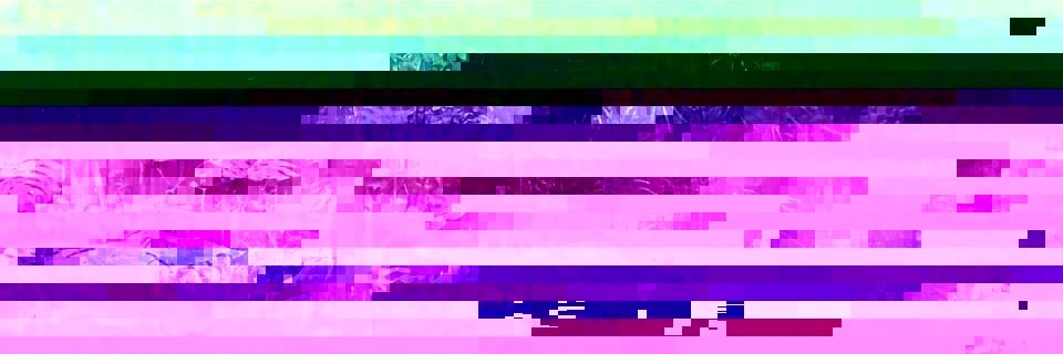 LuInkoust's profile banner image