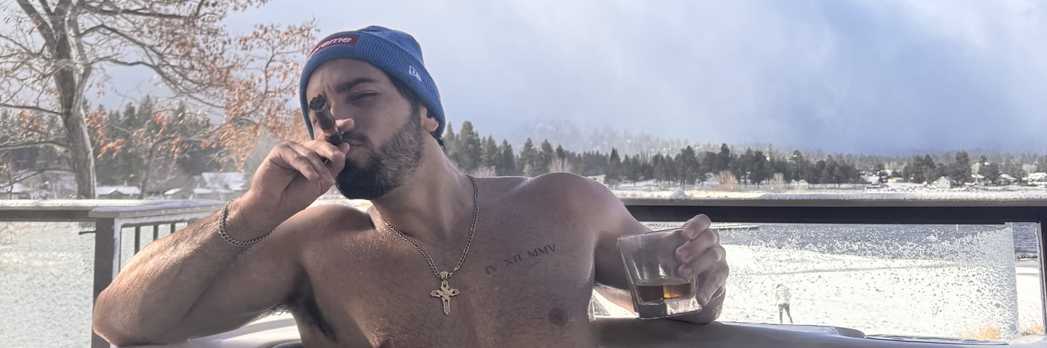 leonardopreg's profile banner image