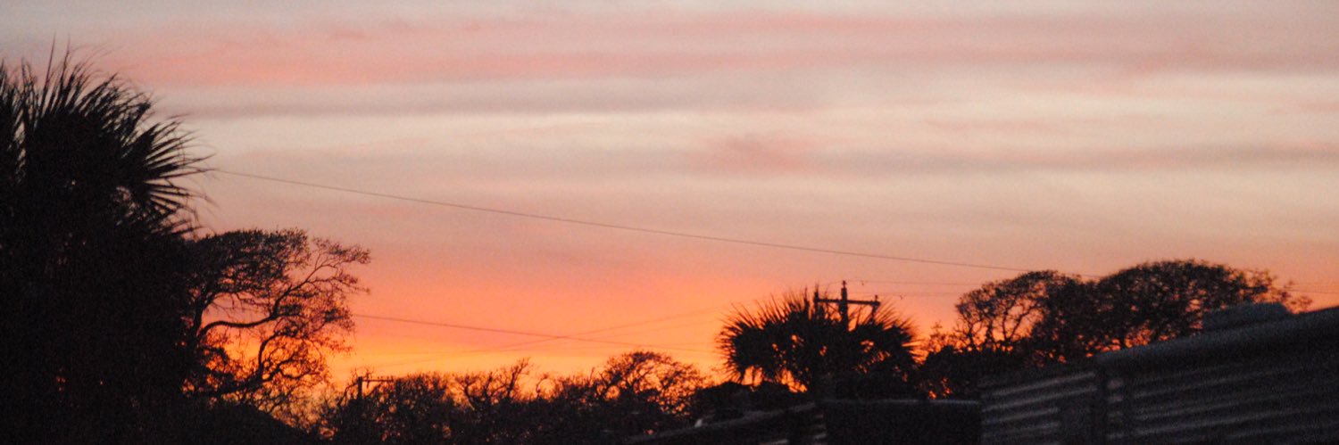 TannerOReynolds's profile banner image