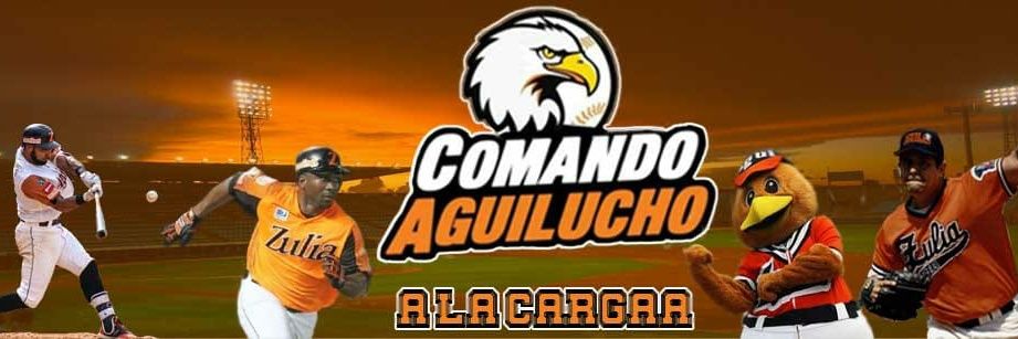 Comando Aguilucho banner