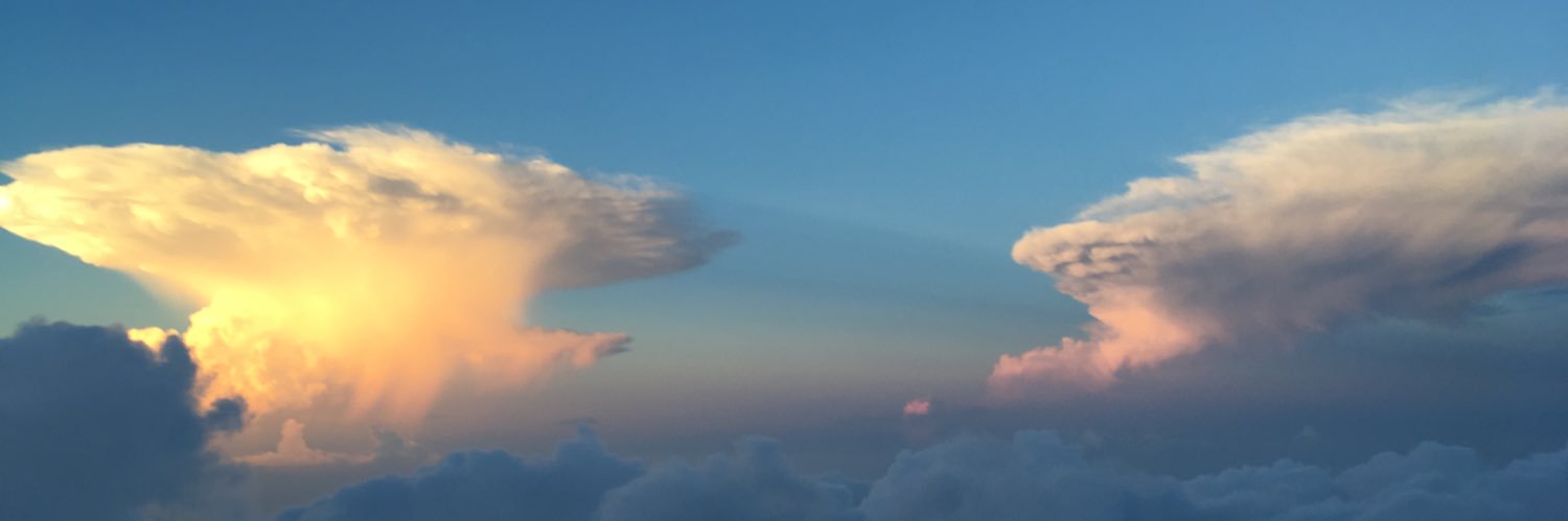 わたぱち banner