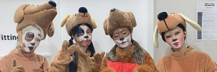 dinggadinggahey's profile banner image