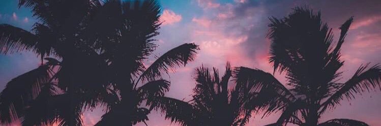 mazharshn's profile banner image