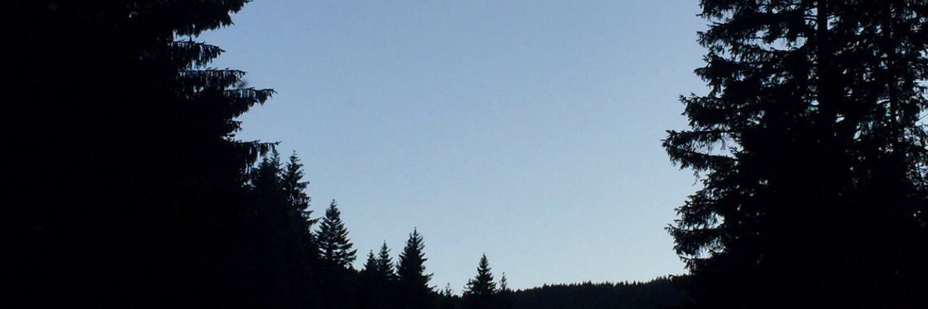 TaidaTaidah's profile banner image