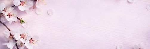 FemNotFeminist's profile banner image