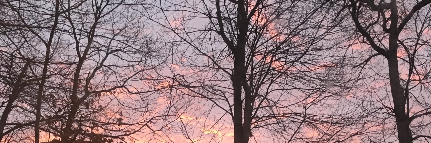sneakybeee's profile banner image