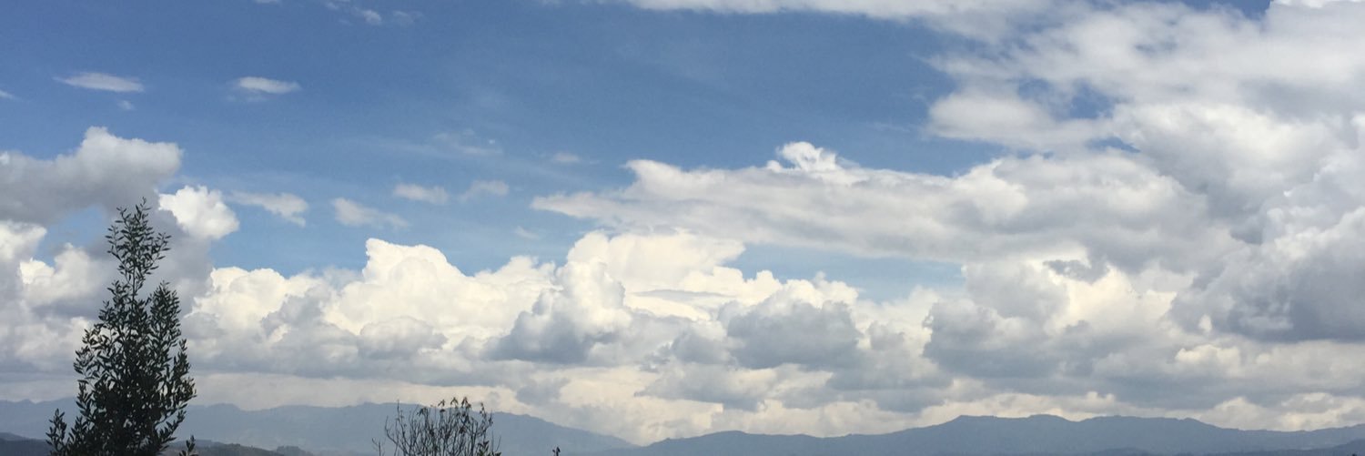 Vane Sánchez banner