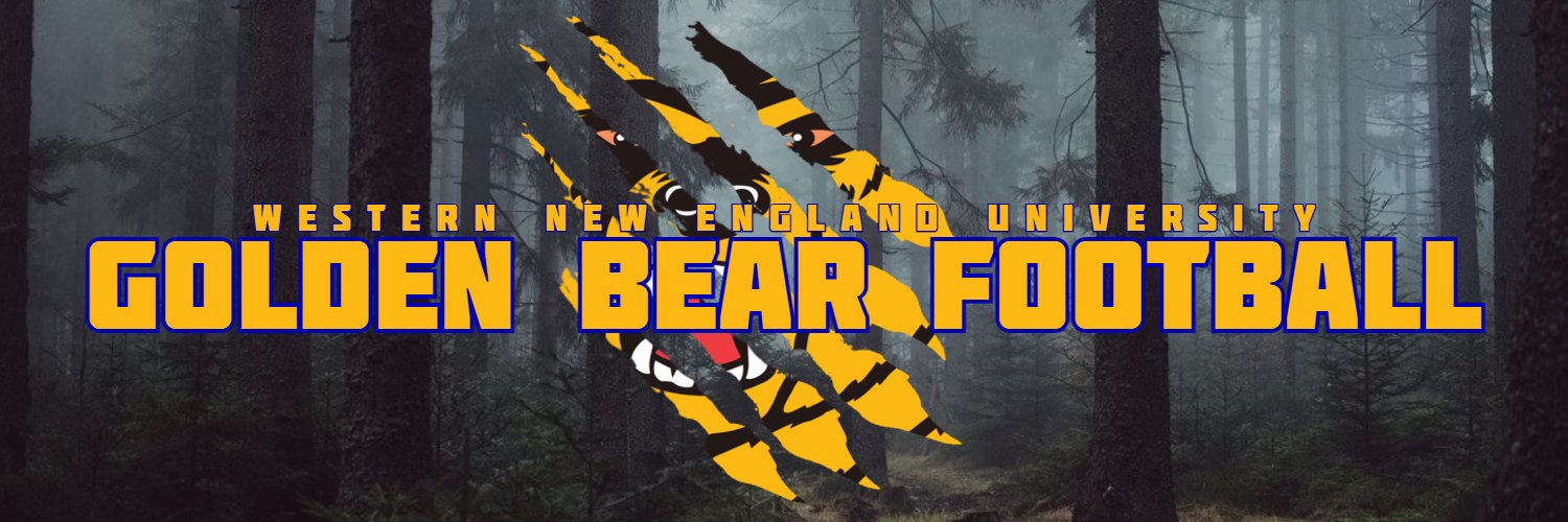 WNE Football's banner