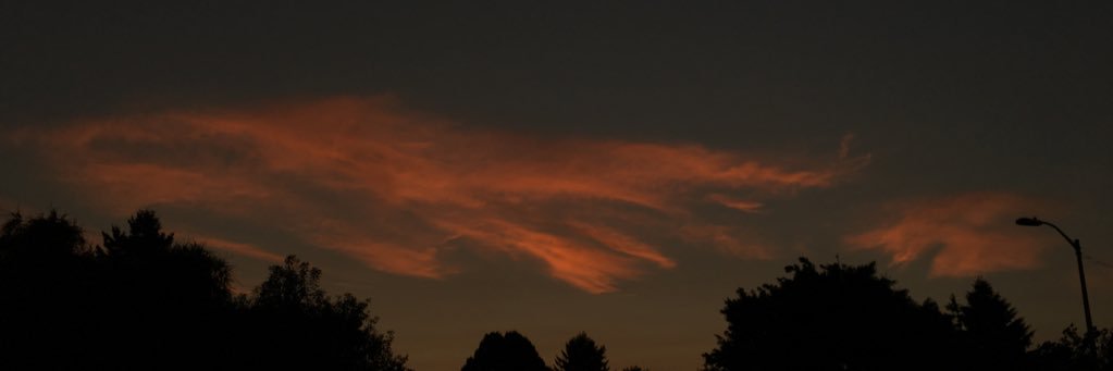 tyler_yeezus's profile banner image