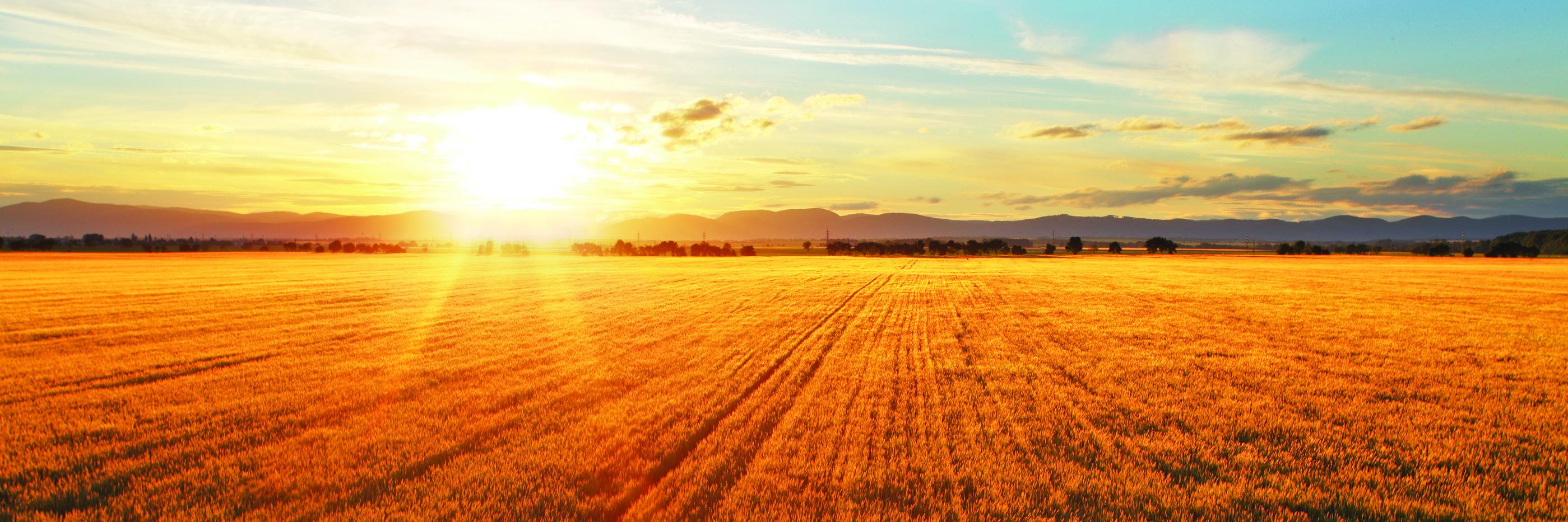 nwagtech's profile banner image