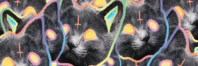 Shassafrass's profile banner image