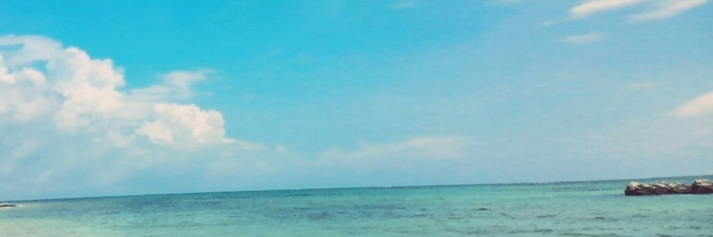 ______A_lice's profile banner image