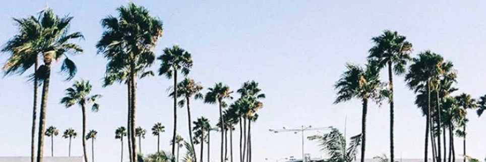 alexpolzer_'s profile banner image