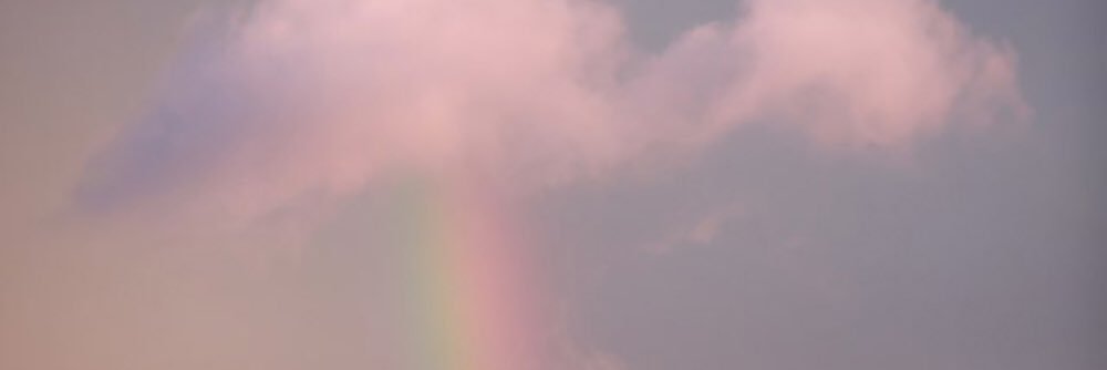じゅうご 🎄's banner