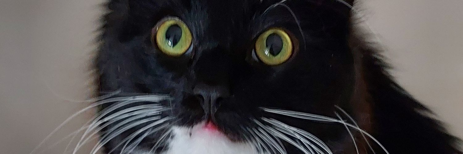 BarryBuggles's profile banner image