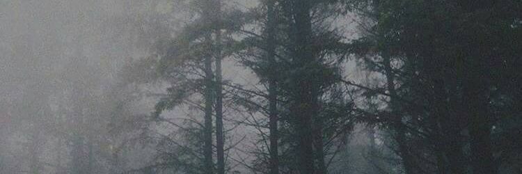 SILDAAAA_'s profile banner image