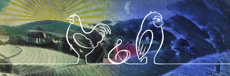 chickandowl's profile banner image