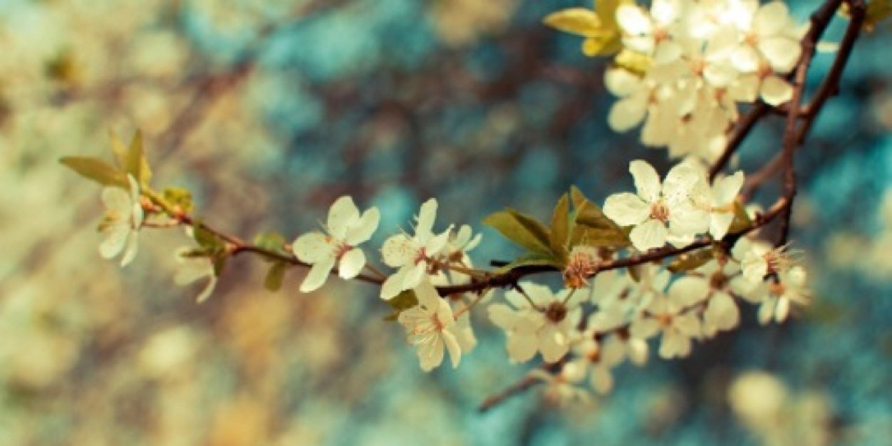 gracemaccarthy's profile banner image