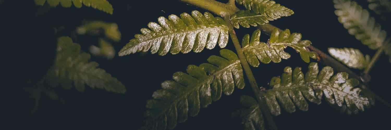 za banner