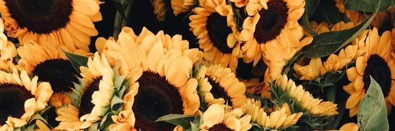 _Rossdfr_'s profile banner image