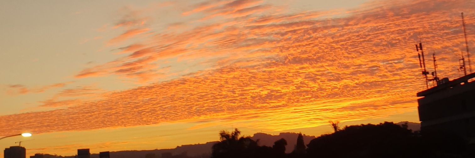 Sheila Goncalves Da Silva banner