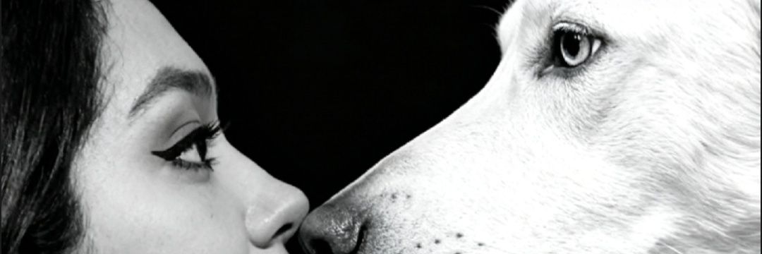 td_clau's profile banner image