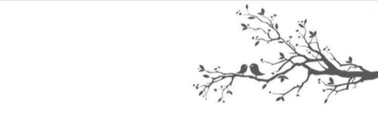 nmnmooh's profile banner image