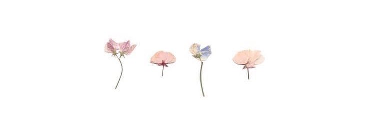 ♥♥mindmint♥♥ banner