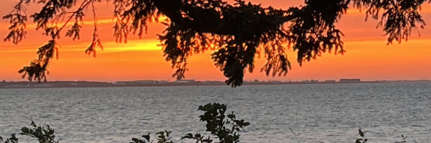 potpie34's profile banner image