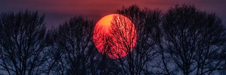 ShaimaaGamal24's profile banner image