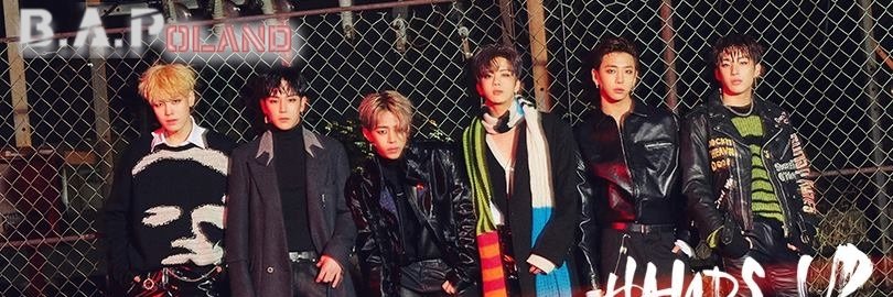 BAP_Poland's profile banner image