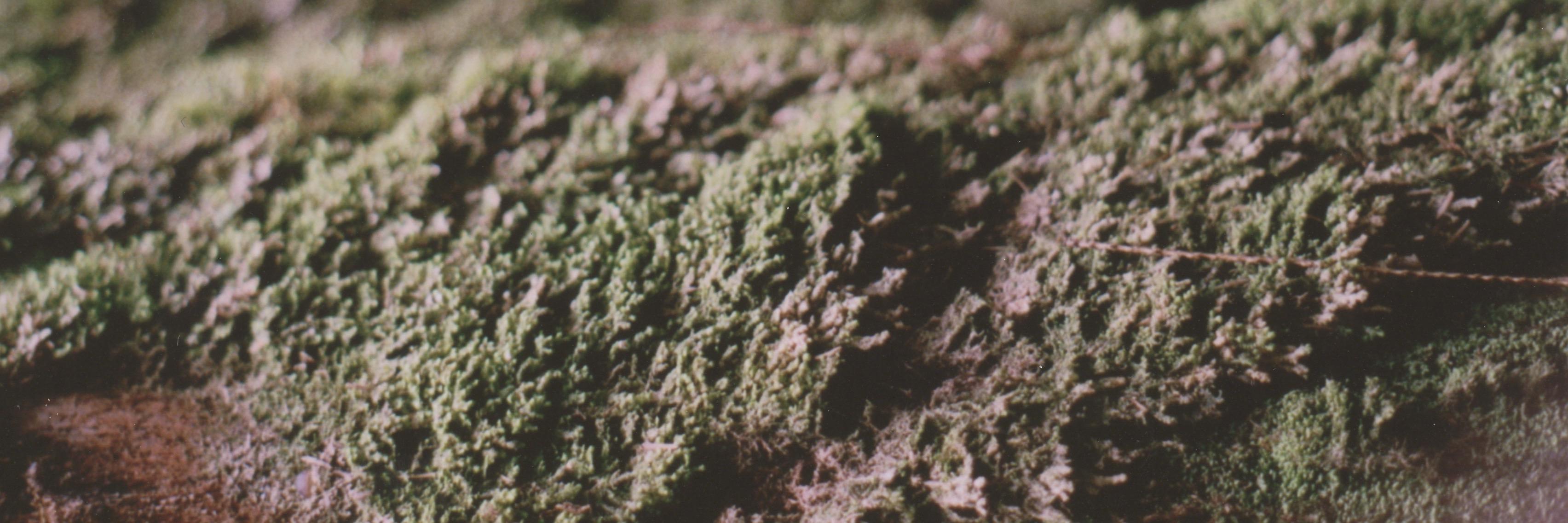 blaisecrocker's profile banner image