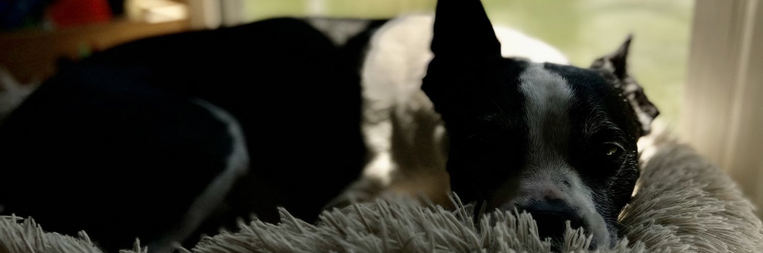 imabasmith's profile banner image