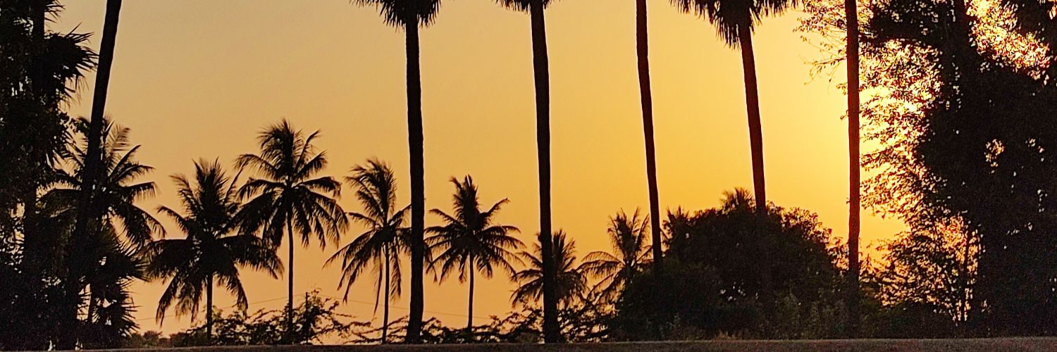 Urooj____'s profile banner image