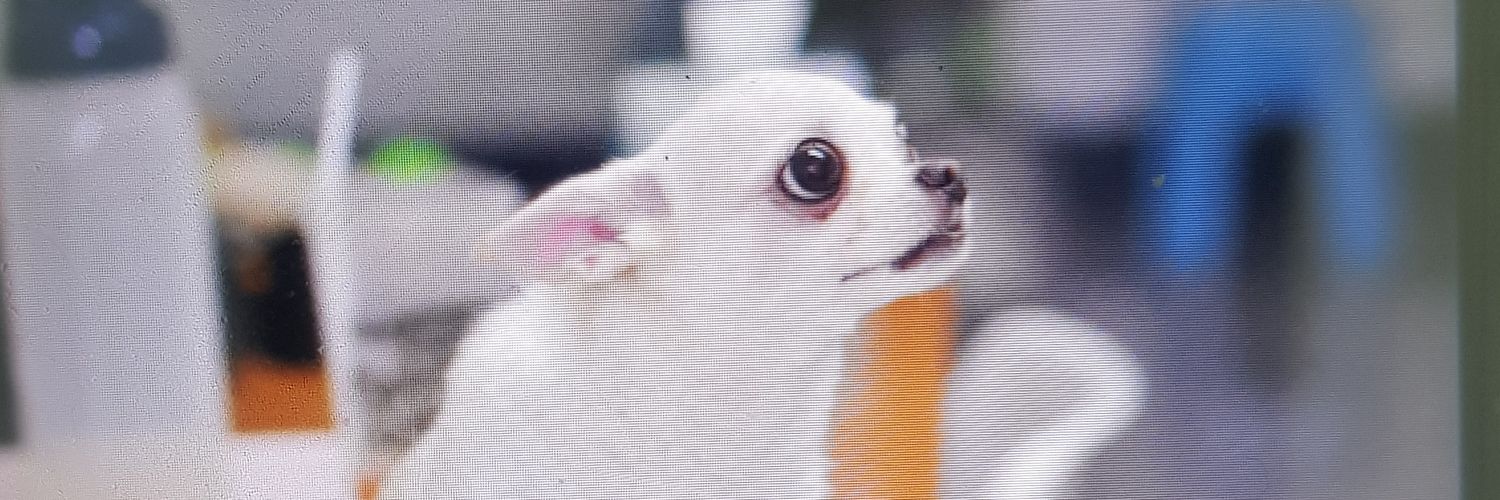 phantirapp's profile banner image