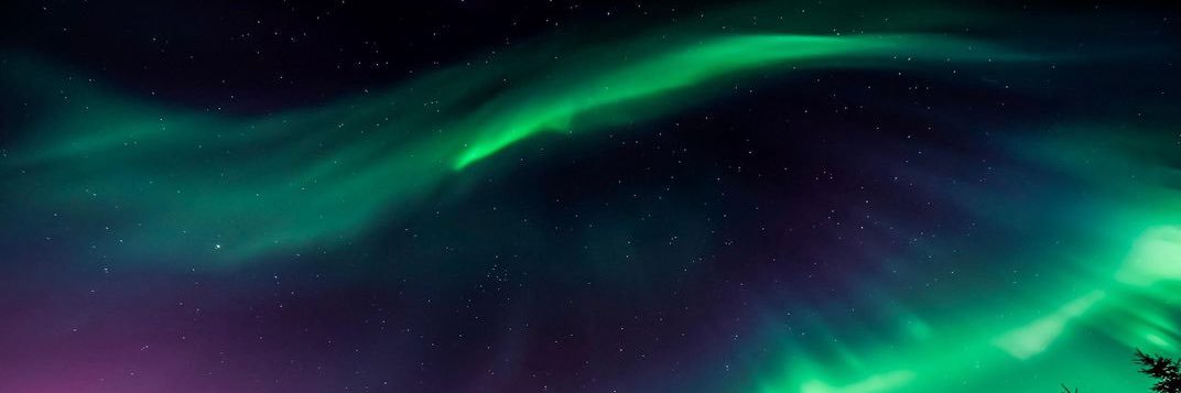 GothicLunaMoth's profile banner image