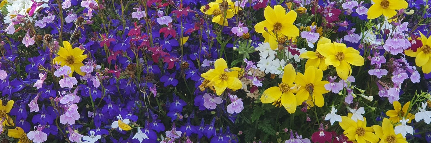 HanMun_'s profile banner image