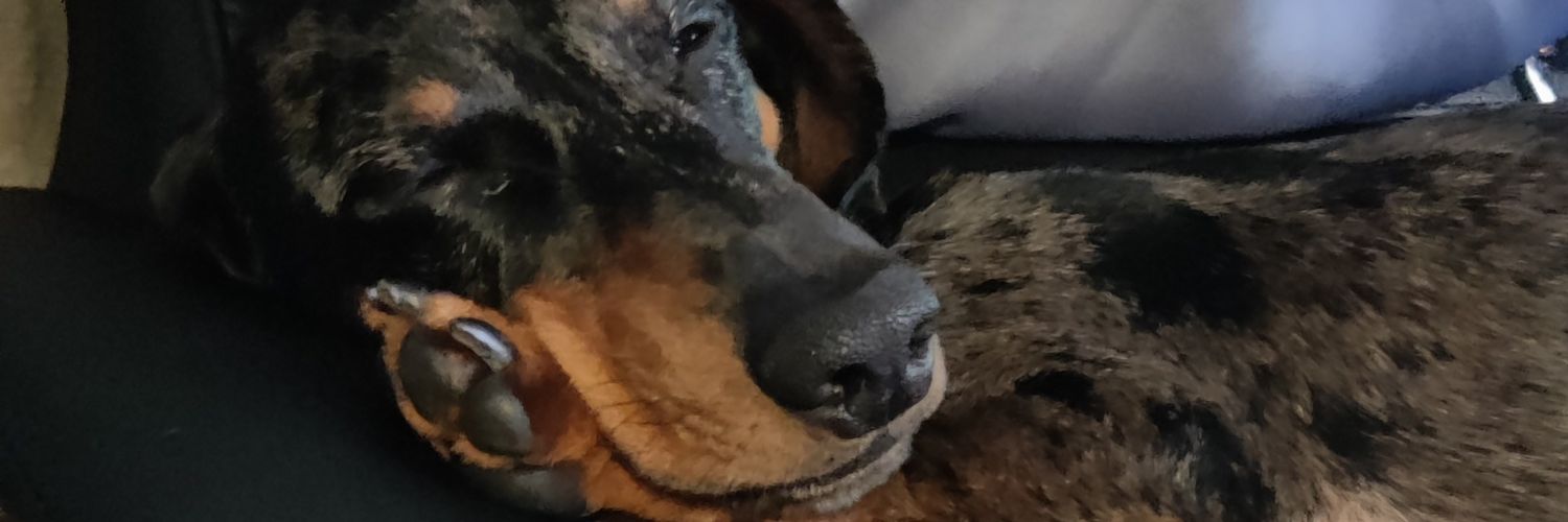 iZurot's profile banner image